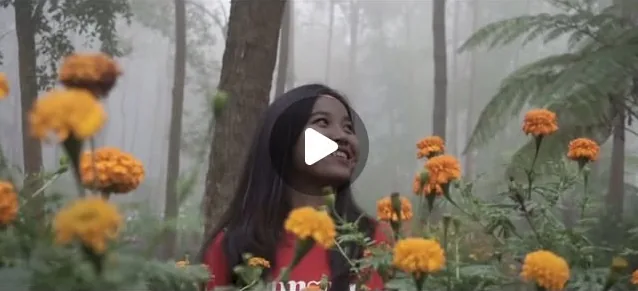 Cuplikan video sinematik: perempuan di antara bunga marigold di hutan berkabut